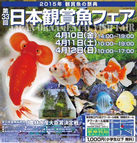 観賞魚フェア2015.jpg